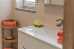 shower/toilette for smaller bedroom