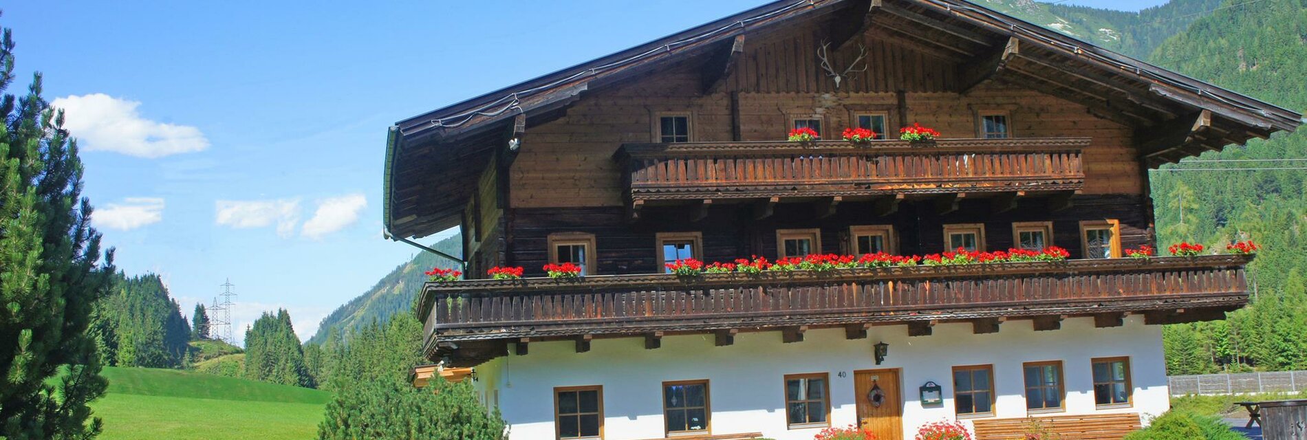 Walchauhof im Sommer