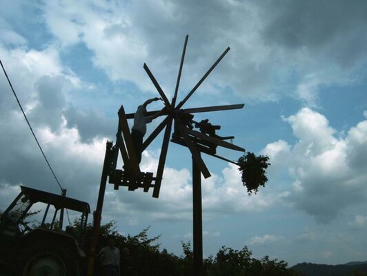 Weingut Liener_ | © Weinbau & Gästezimmer Liener