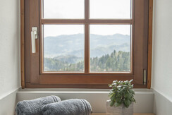 Weinbau Legat vlg. Tschöggl   Fenster