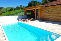 Weinbau Legat vlg. Tschöggl   Pool