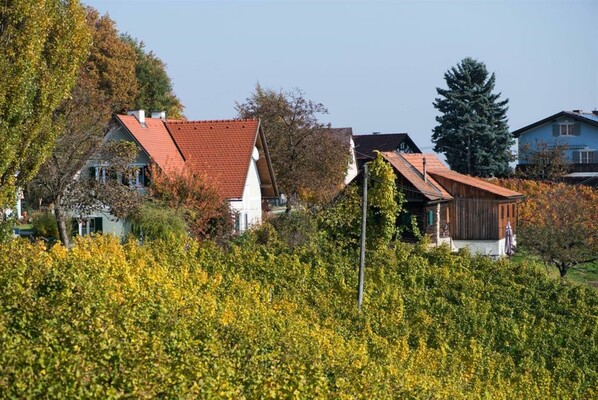 Weinbau List traumhafte Aussicht | © Weinbau List | Anton List