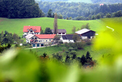 Weinbauernhof Adam Ewald