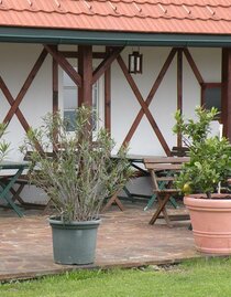 Ansicht Weinlokal | © Weingut Albert | © Weingut Albert