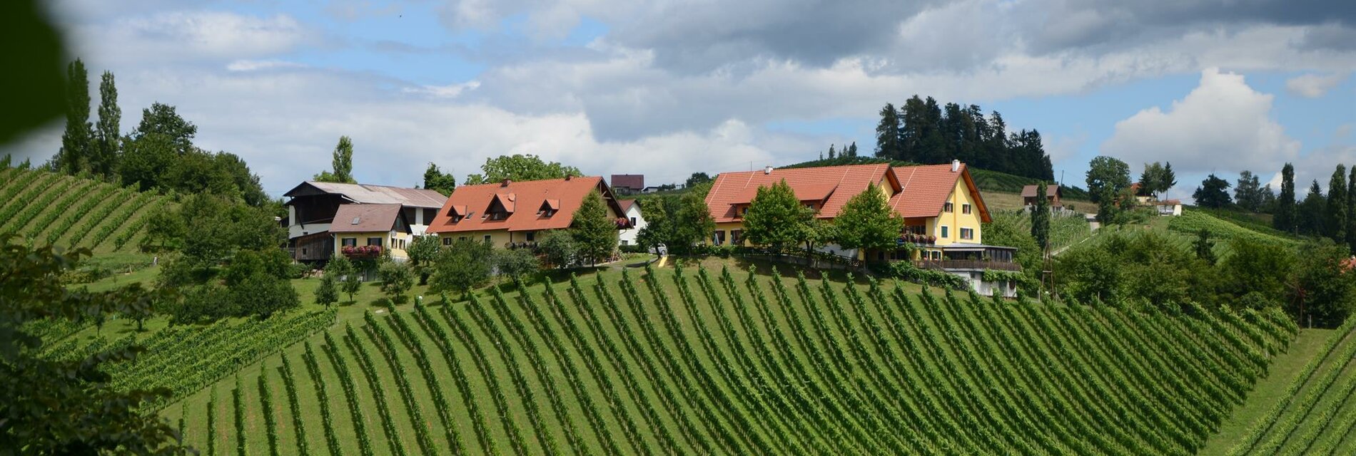 Weingut Fellner