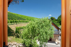 Ausblick Birnbaumzimmer