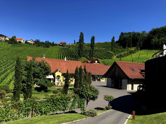 Weingut Georgiberg Winzerhaus Weingut | © Weingut Georgiberg | Weingut Georgiberg