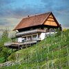 Bild von Appartement | © Weingut Georgiberg | Weingut Georgiberg