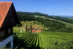 Weingut Georgiberg Appartement_Lage