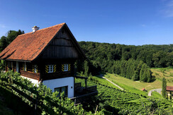 Weingut Georgiberg Appartement Aussicht