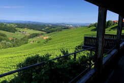 Weingut Georgiberg Appartement