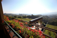 Weingut Mahorko Ausblick