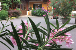 Weingut Ilgi