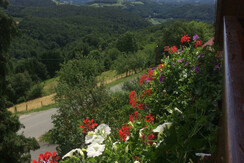 Aussicht