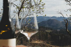 Weingut Daniel Jaunegg Weinflasche