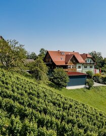 Weingut Juritsch | © Weingut Juritsch | Franz Juritsch | © Weingut Juritsch | Franz Juritsch