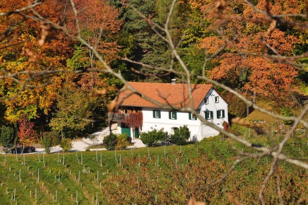 Weingut Leitner, vlg. Kröllwinzerei Herbst | © Weingut Leitner, vlg. Kröllwinzerei l Kurt-Oskar Leitner