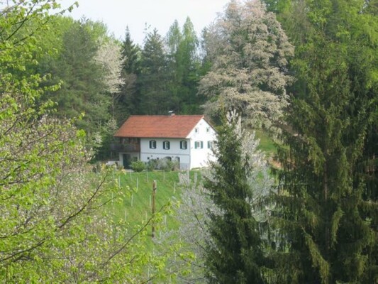 Weingut Leitner, vlg. Kröllwinzerei Frühjahr | © Weingut Leitner, vlg. Kröllwinzerei l Kurt-Oskar Leitner