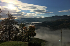 Weingut Leitner vlg. Kröllwinzere Ausblick
