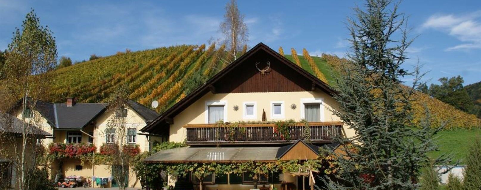 Weingut Lieschnegg