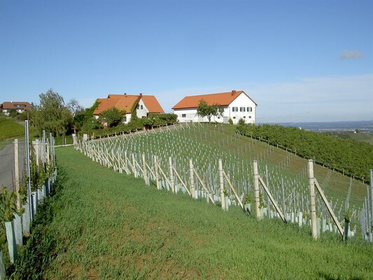 Weingut Martin Loppitsch_1 | © Weingut Martin Loppitsch