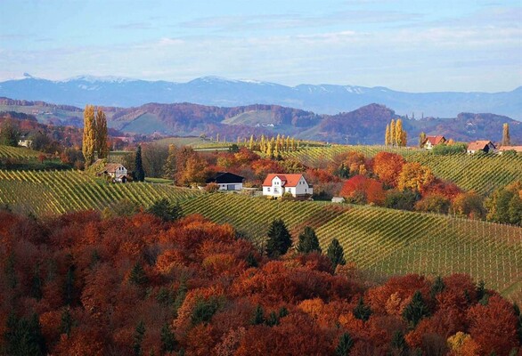 Ludwigshof_Panorama | © Weingut Ludwigshof Fam. Zierer