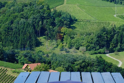 Weingut Buschenschank Nekrep_1