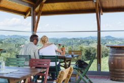 Weingut Buschenschank Nekrep_2