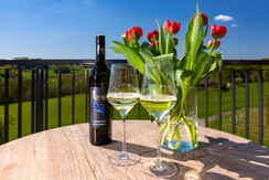 Weingut Perner Terrasse Jungbauer