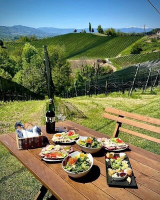 Picknickgenuss im Grünen | © Weingut Peter Grill | Peter Grill