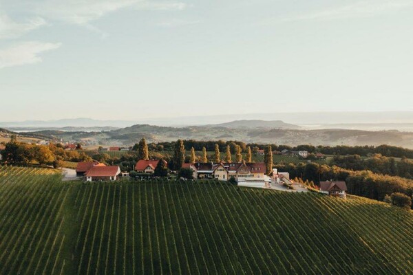 Ansicht Weingut Pichler-Schober | © CMvisuals