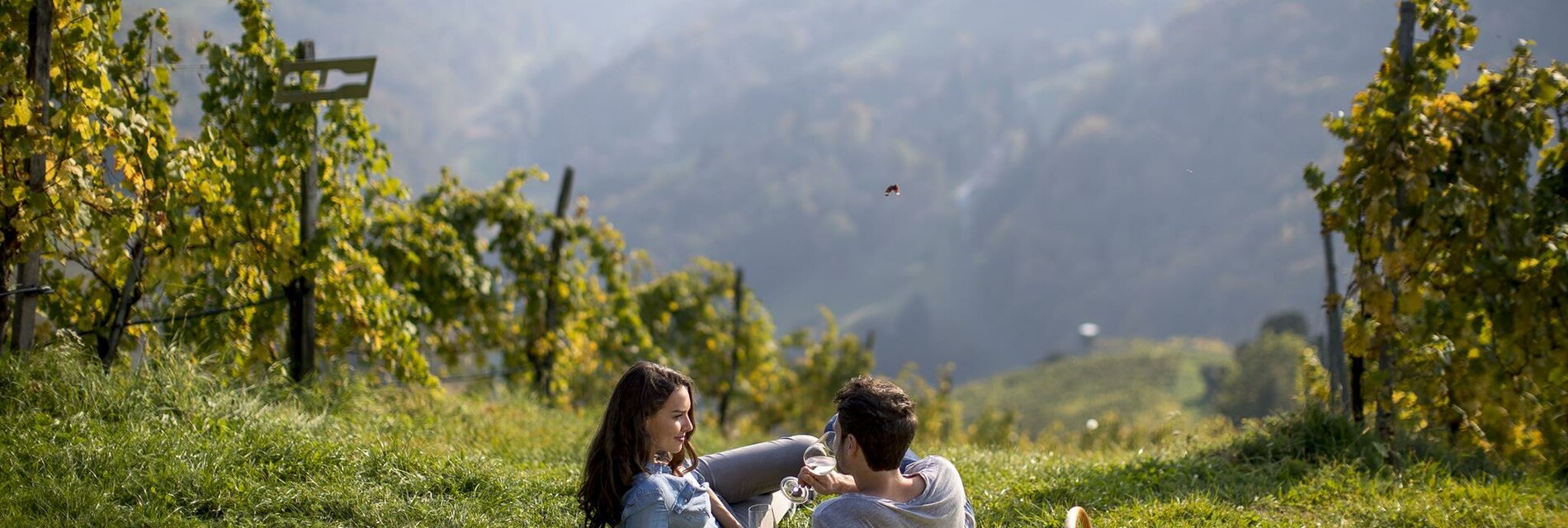 Picknickplatz Weingut Schauer