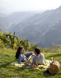 Picknickplatz Weingut Schauer | © Tom Lamm | © Tom Lamm