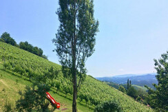 Beispielhafte Aussicht Winzerzimer