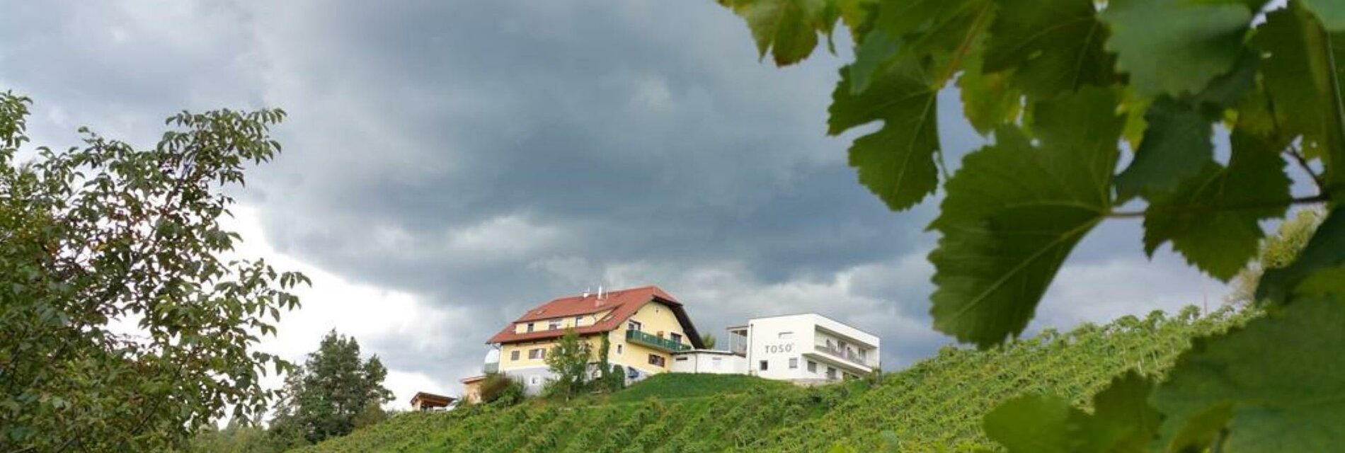 Weingut Toso