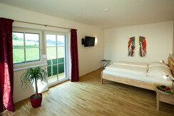 Weingut Toso Zweigelt-Zimmer mit Aussicht