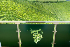 Weingut Toso Blick in die Weingärten