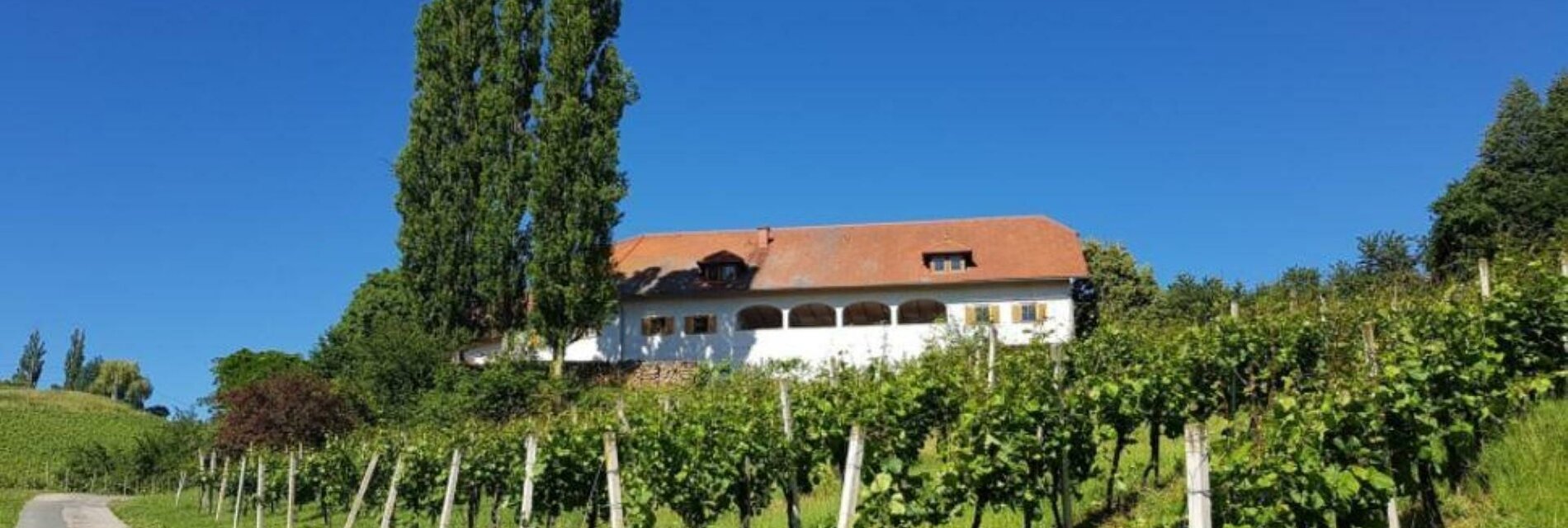 Weingut Lindenburg