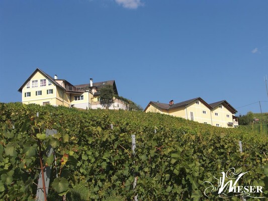 Weingut Wieser Ausblick | © Weingut Wieser | Nadine Wieser