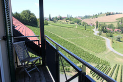 Weingut  Robert Zweytick  Aussicht