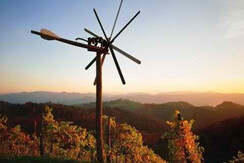 Bild 9. Südsteirisches Weinland