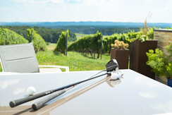 Abschlag in den Weingarten