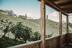 Weingut Wolfgang Maitz Schusterberg Balkon
