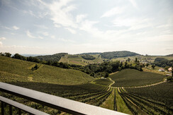 Weingut Wolfgang Maitz Ausblick