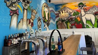 Bunte Wandmalereien von Alpakas in einer Bar im Grazer Alpoke. | © Alpoke - K. van Kerken