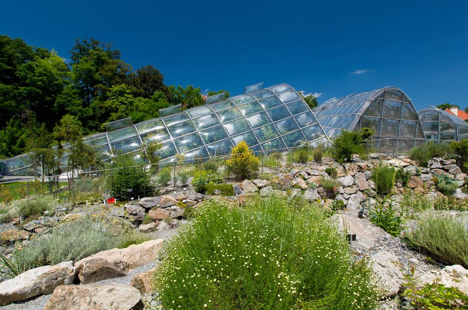 Botanischer Garten - Impression #1 | © Graz Tourismus - Harry Schiffer