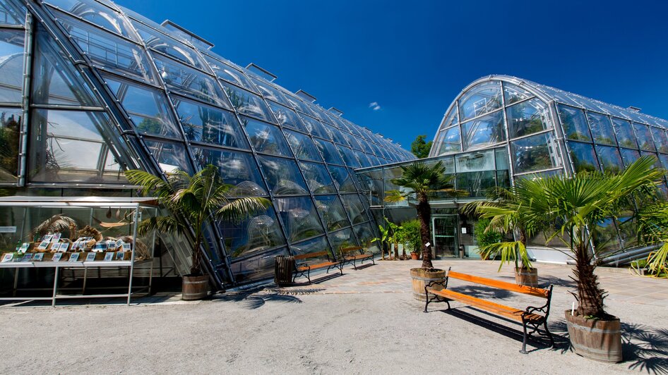 Botanischer Garten in Graz | © Graz Tourismus - Harry Schiffer