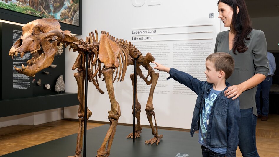 Joanneumsviertel I Naturkundemuseum Graz