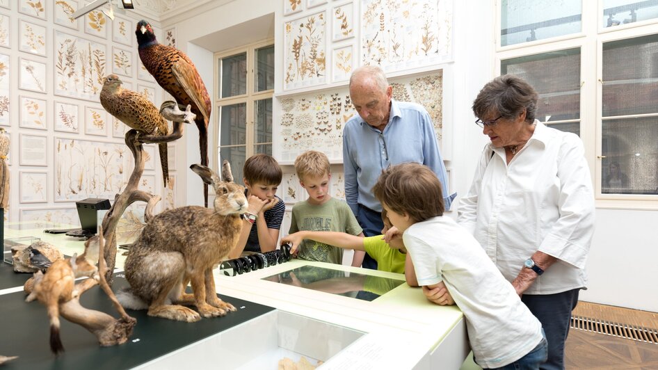 Joanneumsviertel I Naturkundemuseum Graz