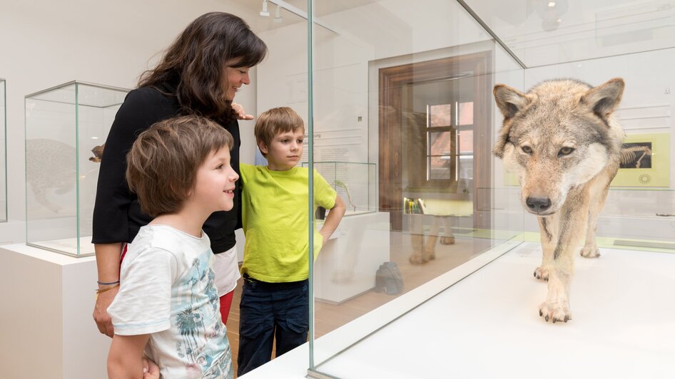 Joanneumsviertel I Naturkundemuseum Graz